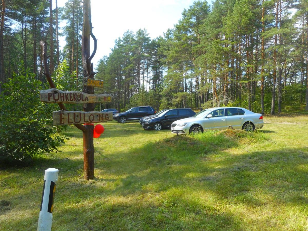 Elulong Camping Lohusuu Экстерьер фото