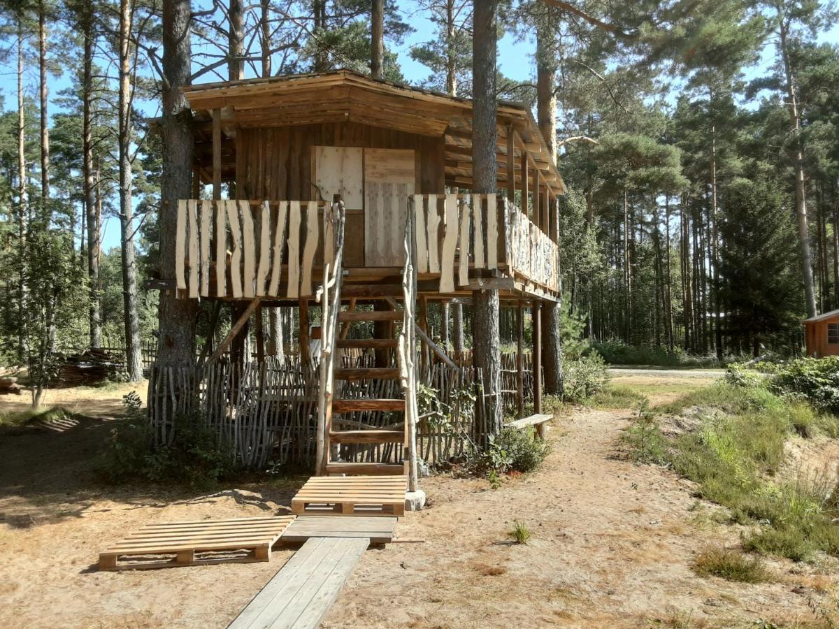 Elulong Camping Lohusuu Экстерьер фото