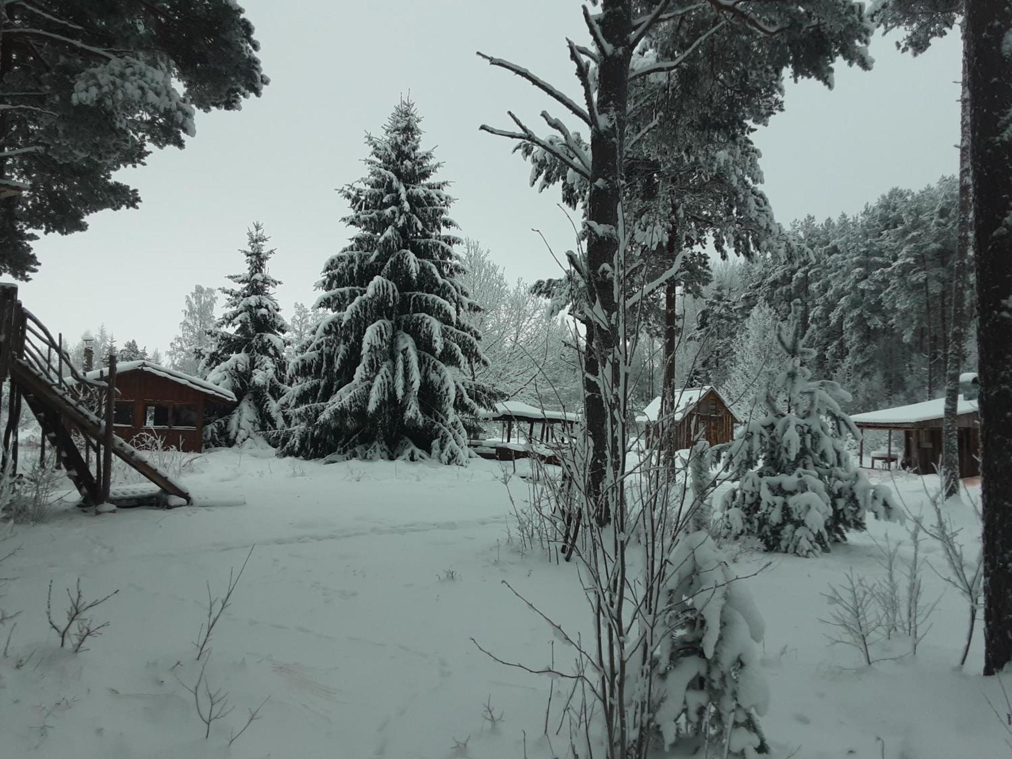 Elulong Camping Lohusuu Экстерьер фото