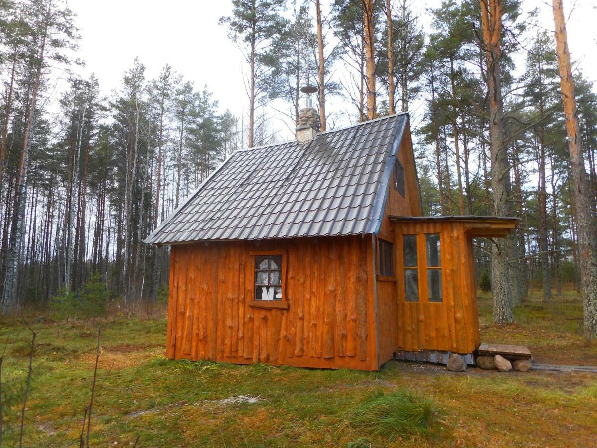 Elulong Camping Lohusuu Экстерьер фото