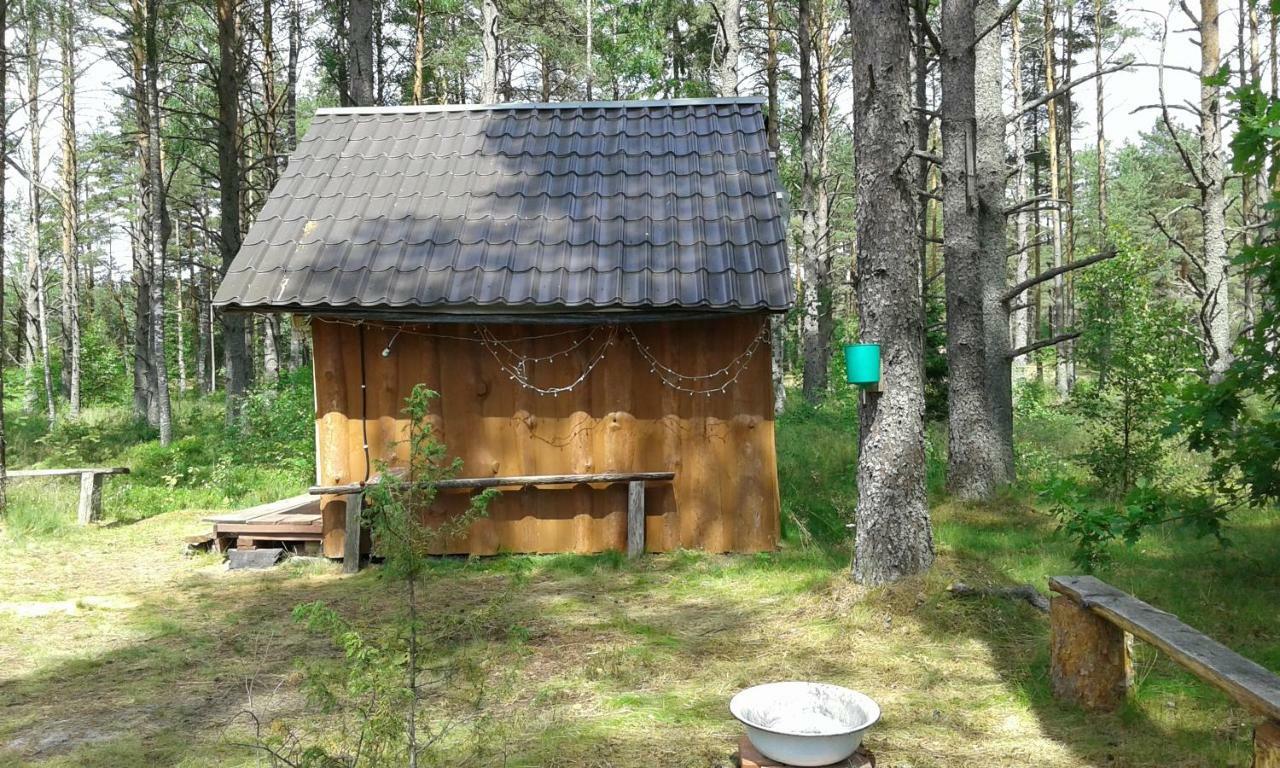 Elulong Camping Lohusuu Экстерьер фото